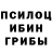 Галлюциногенные грибы ЛСД Ari White