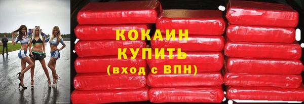 индика Абаза