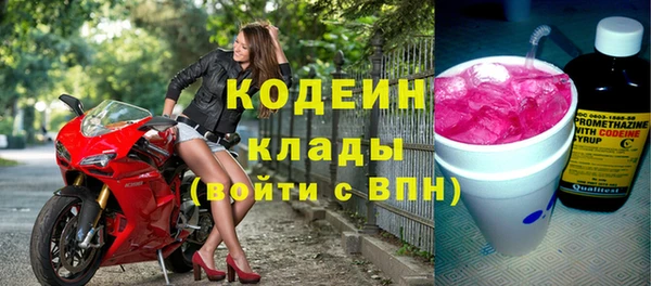 индика Абаза