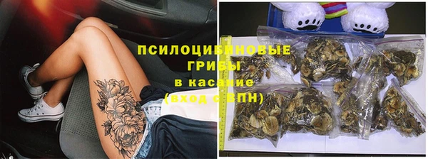 меф Ельня
