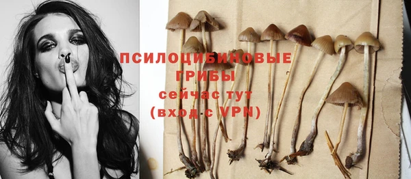 дурь Алексеевка