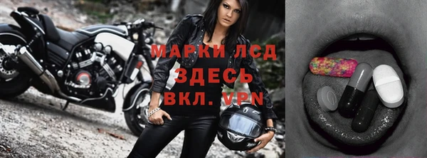индика Абаза