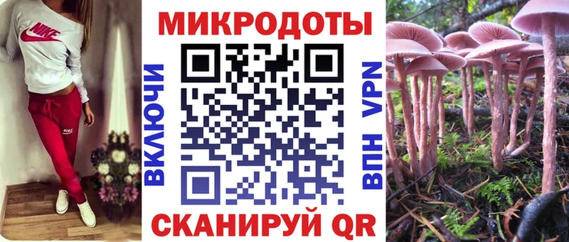 закладка  Костерёво  Псилоцибиновые грибы Psilocybine cubensis 